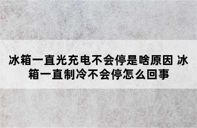 冰箱一直光充电不会停是啥原因 冰箱一直制冷不会停怎么回事